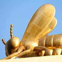 Golden Bee Statue in Melbourne, Australia