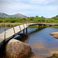 Bridge and landscape in Wilson's Promontory, Victoria, Australia