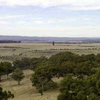 Guildford Plateau in Victoria, Australia