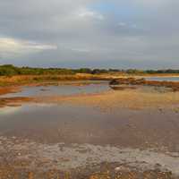 Landscape of Rotnest Island, Western Australia