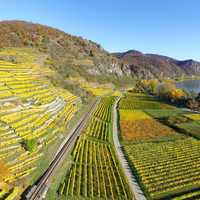 Landscape with Farm and Terraces in Durnstein, Niederosterreich, Austria