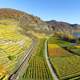 Landscape with Farm and Terraces in Durnstein, Niederosterreich, Austria