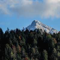 Mountaintop above the trees in Gasse, Austria