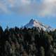 Mountaintop above the trees in Gasse, Austria