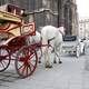 Horse and Carriage in Vienna, Austria