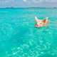 Pig swimming in the tropical waters in the Bahamas