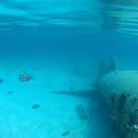 Shipwrecked ruins in the Bahamas