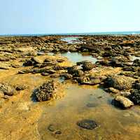 Rocky beach at the Coral Sea