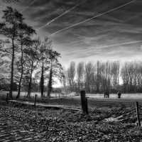 Meadow and farm in Antwerp