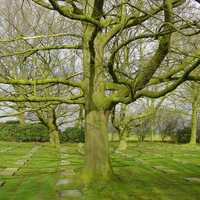 German World War I military cemetery in Menen, Belgium