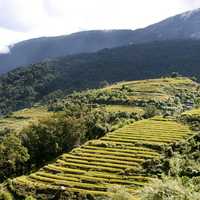 Terraced Farmland in Bhutan