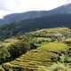 Terraced Farmland in Bhutan