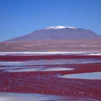 Hill and red ground landscape in Bolivia