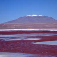 Hill and red ground landscape in Bolivia