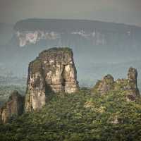 Amazon Rain forest landscape with trees