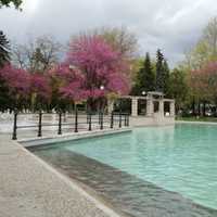 Landscape with Pools and trees