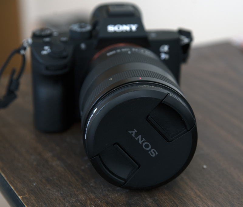 Sony A7III shot image - Free stock photo - Public Domain photo - CC0 Images