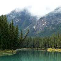 River and forest landscape near the Bow River in Banff National Park, Alberta, Canada