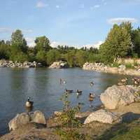 Prince Island's park landscape in Calgary, Alberta, Canada