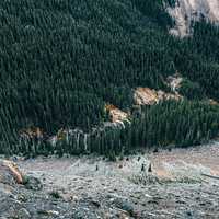 Mountainside scenery with large green pine forest in Jasper National Park, Alberta, Canada