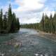 Whirlpool River landscape in Jasper National Park, Alberta, Canada