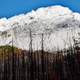 White Rock Mountains with trees in Jasper National Park, Alberta, Canada