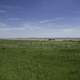 Grassland, Farm, and skies landscape in Alberta