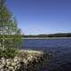 Lakeshore and landscape at Hutch Lake