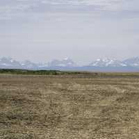 Mountains in the Distance across the field in Alberta