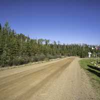 Trail Leading to the camp at Hutch Lake, Alberta