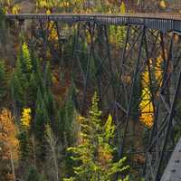 Myra Canyon with trees in British Columbia, Canada