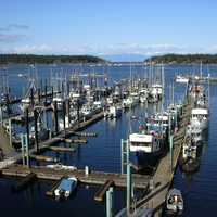 Nanaimo Harbour with ships in British Columbia, Canada