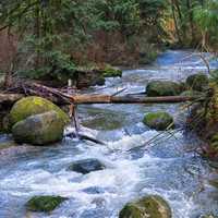 Stream landscape in British Columbia, Canada