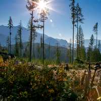 Sunlight while biking in British Columbia