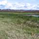 The Garden City Lands in Richmond, British Columbia, Canada