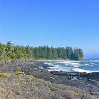 Vancouver Island landscape shoreline