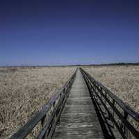 Boardwalk through the Marsh at Hecla Provincial Park