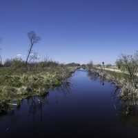 Channel in the marsh near the road at Hecla Provincial Park