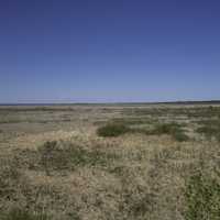 Grassland landscape with clear sky at Hecla Provincial Park