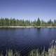 Small Lake in the Marsh with trees on the shore at Hecla Provincial Park