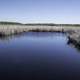 Water flowing through the wetlands at Hecla Provincial Park