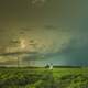 Woman in a green farm field in Manitoba