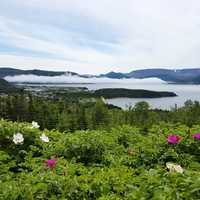 Norris Point overlook landscape