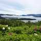 Norris Point overlook landscape