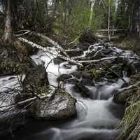 Cascading Rapids through the brook and forest on the Ingraham Trail