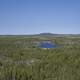 Hill and Lakes in the Middle of the Pine Forest on the Ingraham Trail