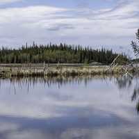 Landscape of Clear lake of trees under clouds on the Ingraham Trail