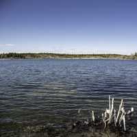 Marshy and lake landscape on the Ingraham Trail