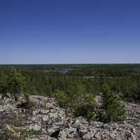 Overlook on the pine forest on the Ingraham Trail