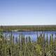 Pond in the forest overlook on the Ingraham Trail